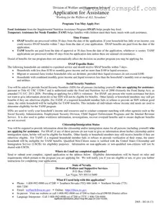 Blank Nevada Welfare Division Template